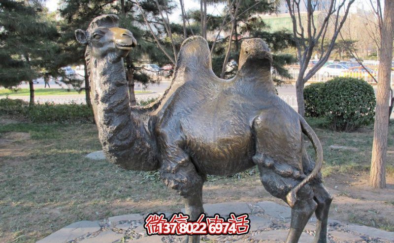 創意大型玻璃鋼駱駝雕塑，在草地上擺放，一眼回頭